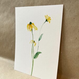Ansichtkaart Rudbeckia