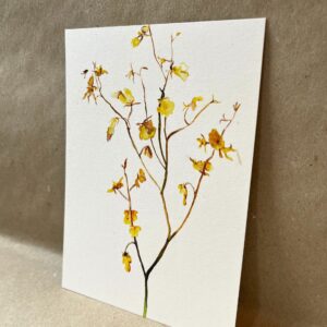 Ansichtkaart Orchidee