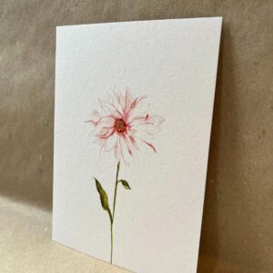 Ansichtkaart Dahlia