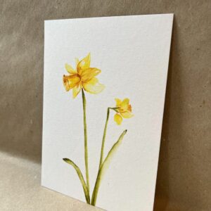 Ansichtkaart Narcis
