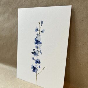 Ansichtkaart Delphinium