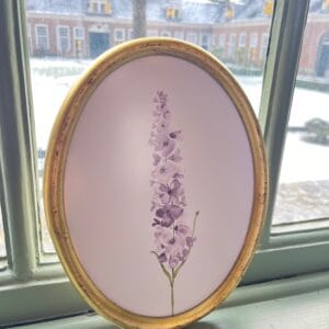 Delphinium